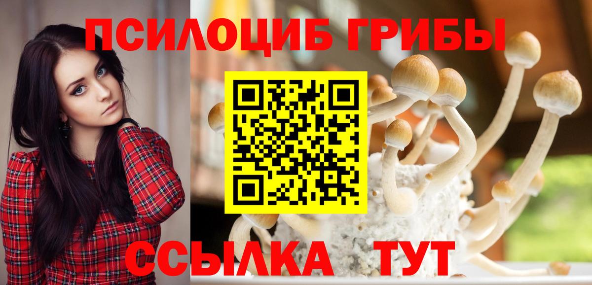 Галлюциногенные грибы мухоморы  Вход с VPN  Галлюциногенные грибы MAGIC MUSHROOMS  Бугуруслан 