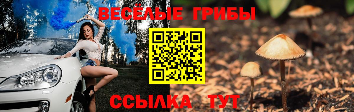 Псилоцибиновые грибы Cubensis Бугуруслан